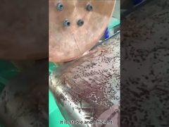 पानी की टंकी की सीवन वेल्डर की वेल्डिंग